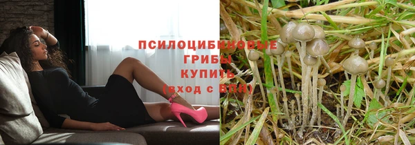 гидра Магадан