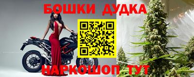 прущие крисы Моздок