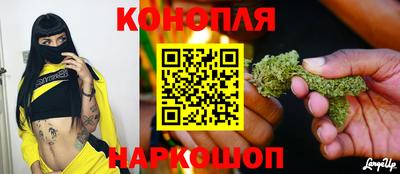 PSILOCYBIN Можга
