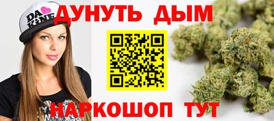 прущие крисы Моздок
