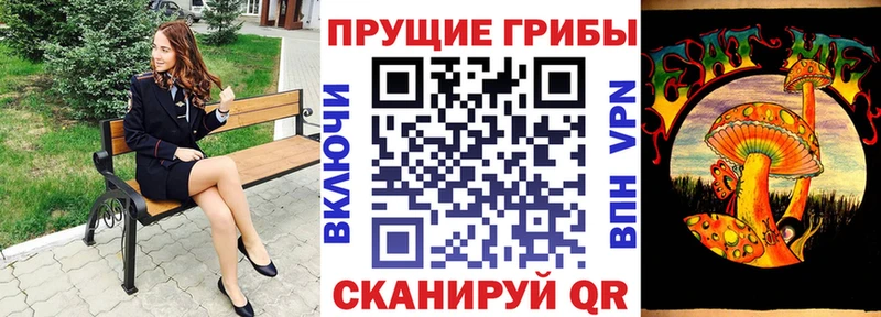 Галлюциногенные грибы ЛСД  ОМГ ОМГ ONION  Светлоград 