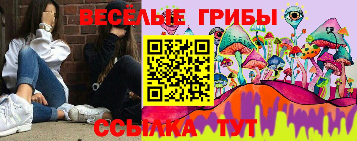 Галлюциногенные грибы Magic Shrooms  Псилоцибиновые грибы Magic Shrooms  Светлоград 