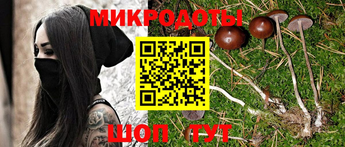 Псилоцибиновые грибы мухоморы Светлоград
