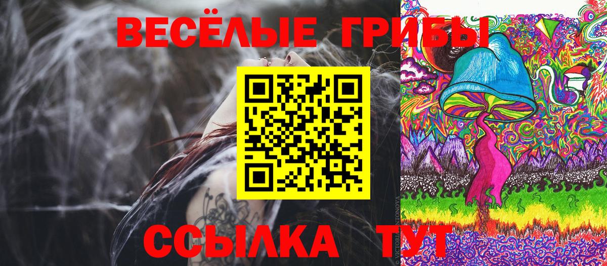 наркота  Галлюциногенные грибы Cubensis  Вход с VPN  Светлоград 