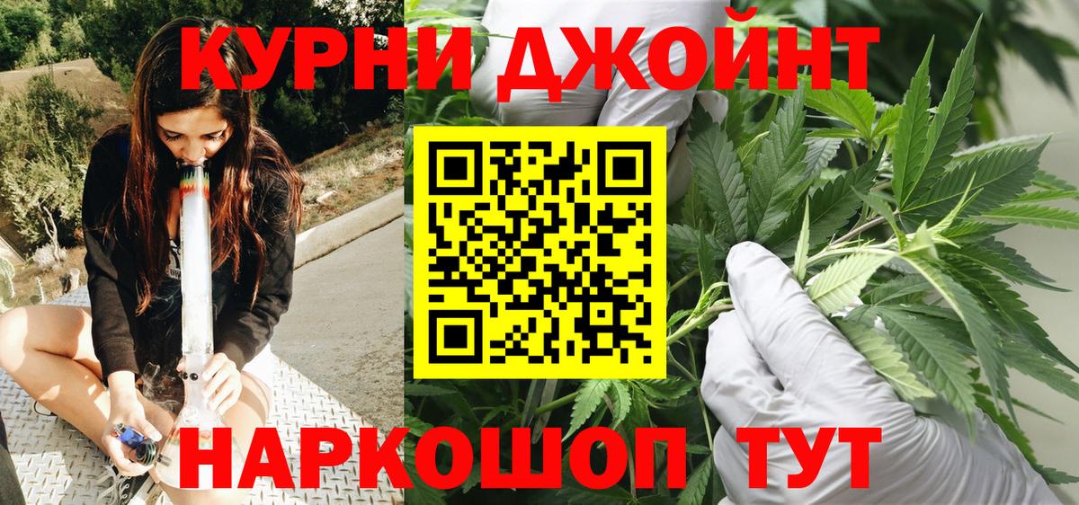 Каннабис планчик Светлоград